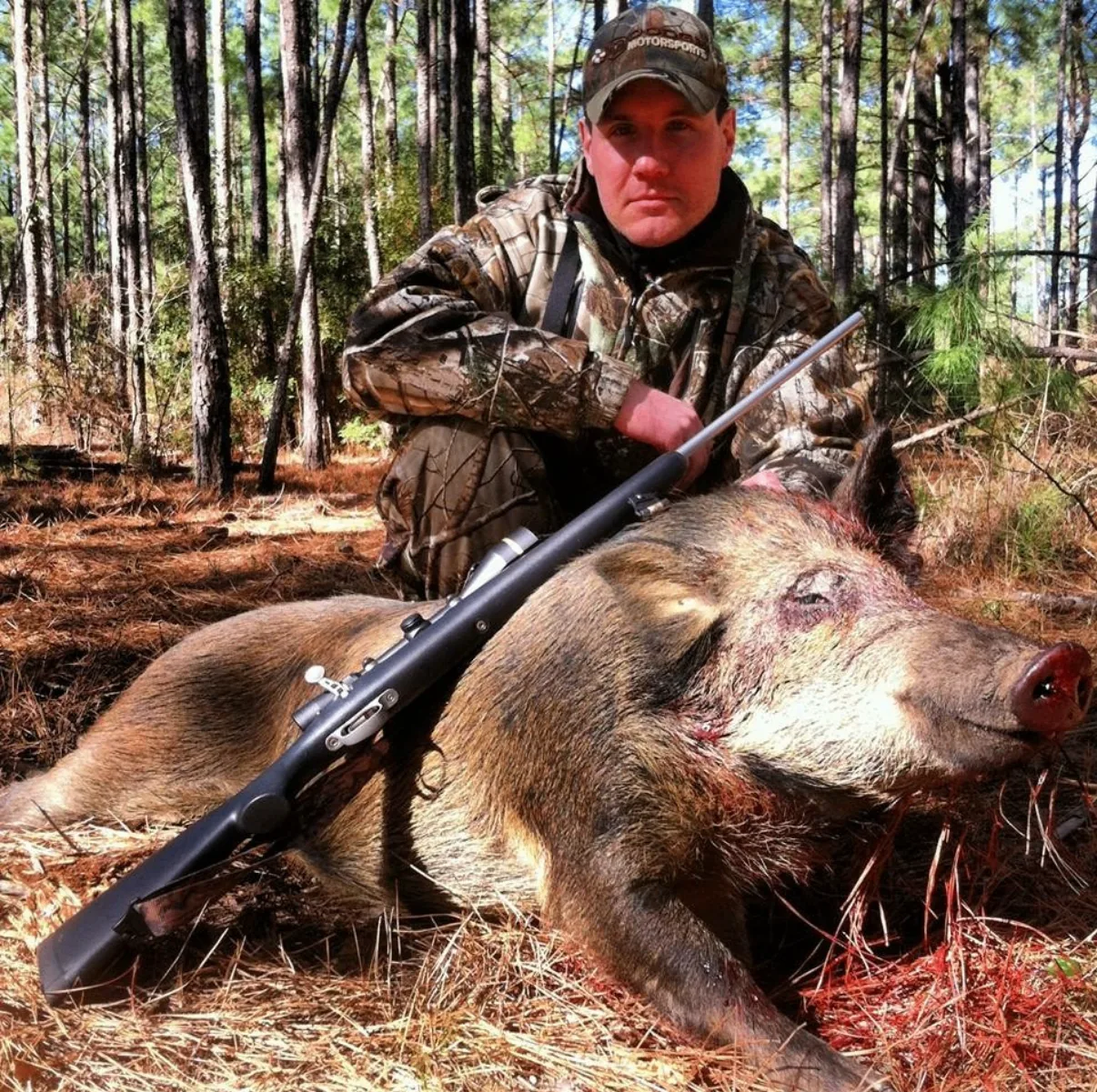 Hog Hunting