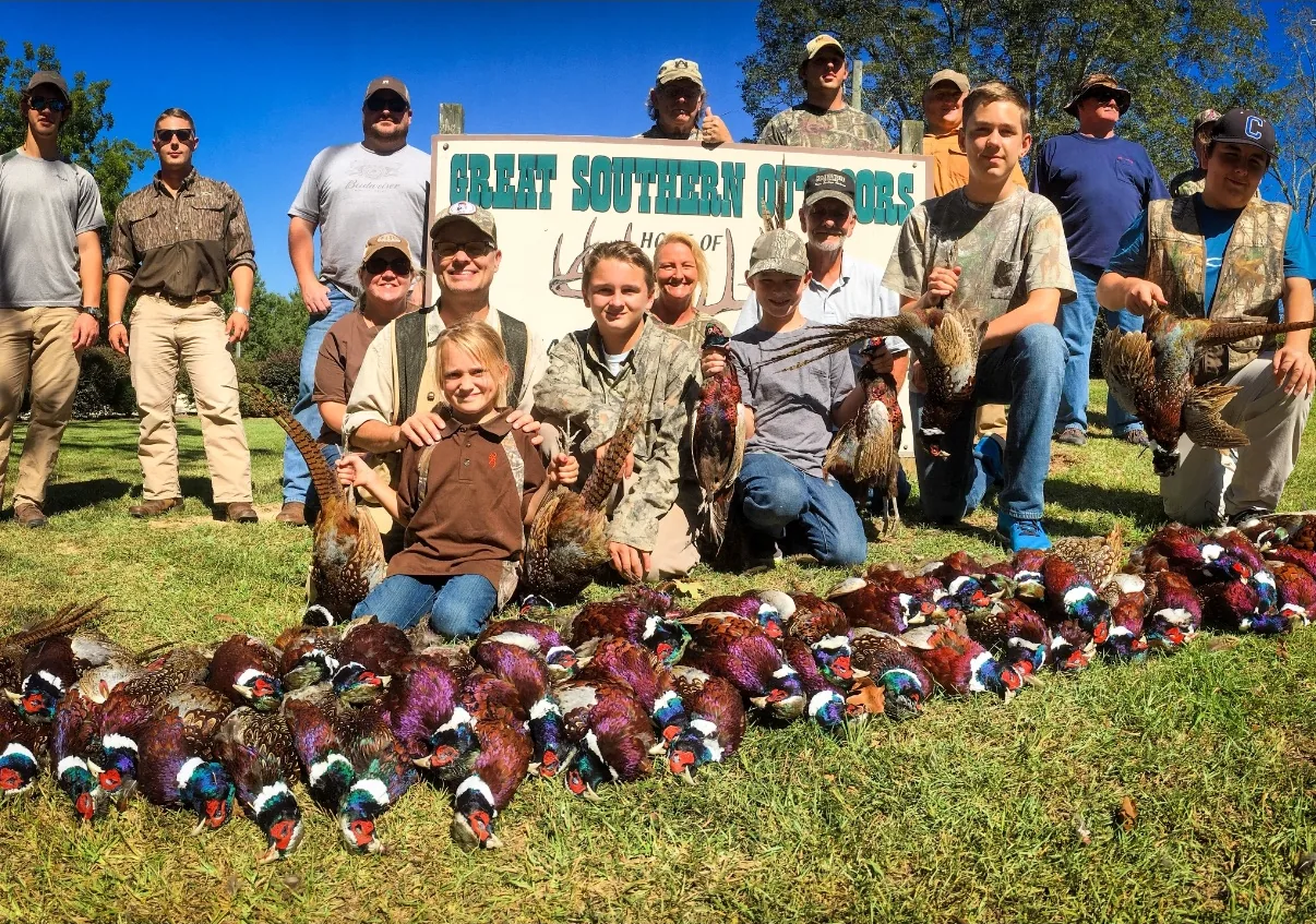 Pheasant Hunting