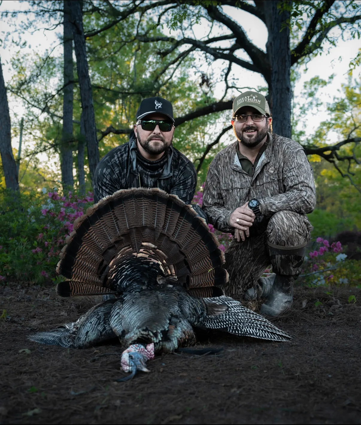 Turkey Hunting